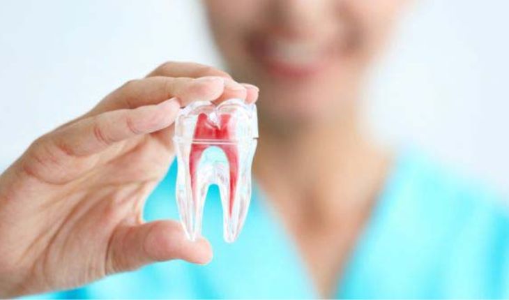 Service Provider of Root Canal Therapy in Ghaziabad, Uttar Pradesh, India.