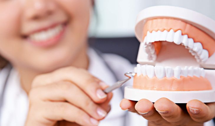 Service Provider of Prosthodontics in Ghaziabad, Uttar Pradesh, India.